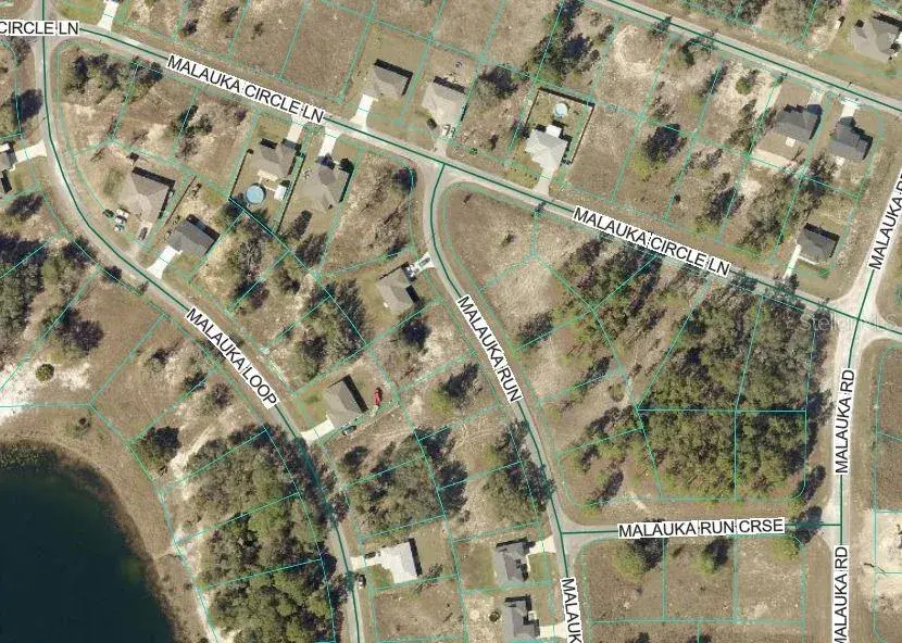 Property for sale at MALAUKA RUN, OCKLAWAHA, FL, 32179