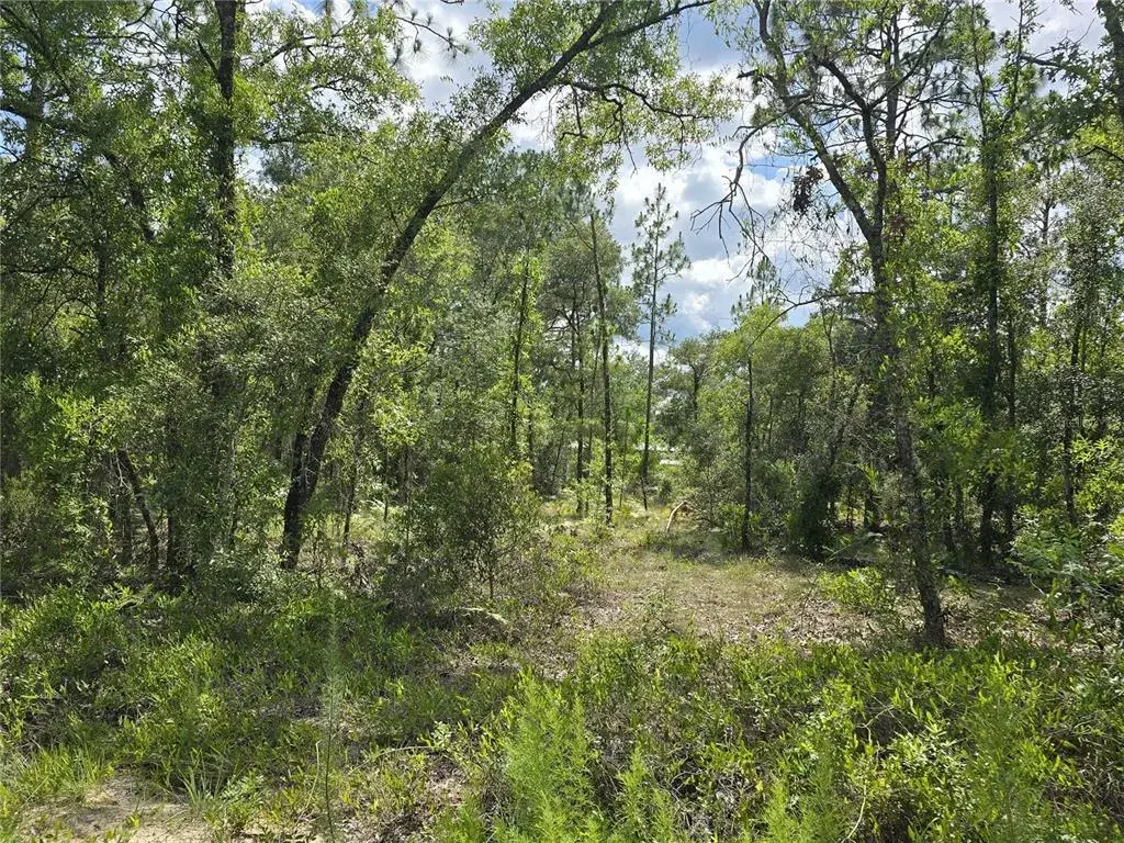 Property for sale at 00 NE 121ST AVENUE, WILLISTON, FL, 32696
