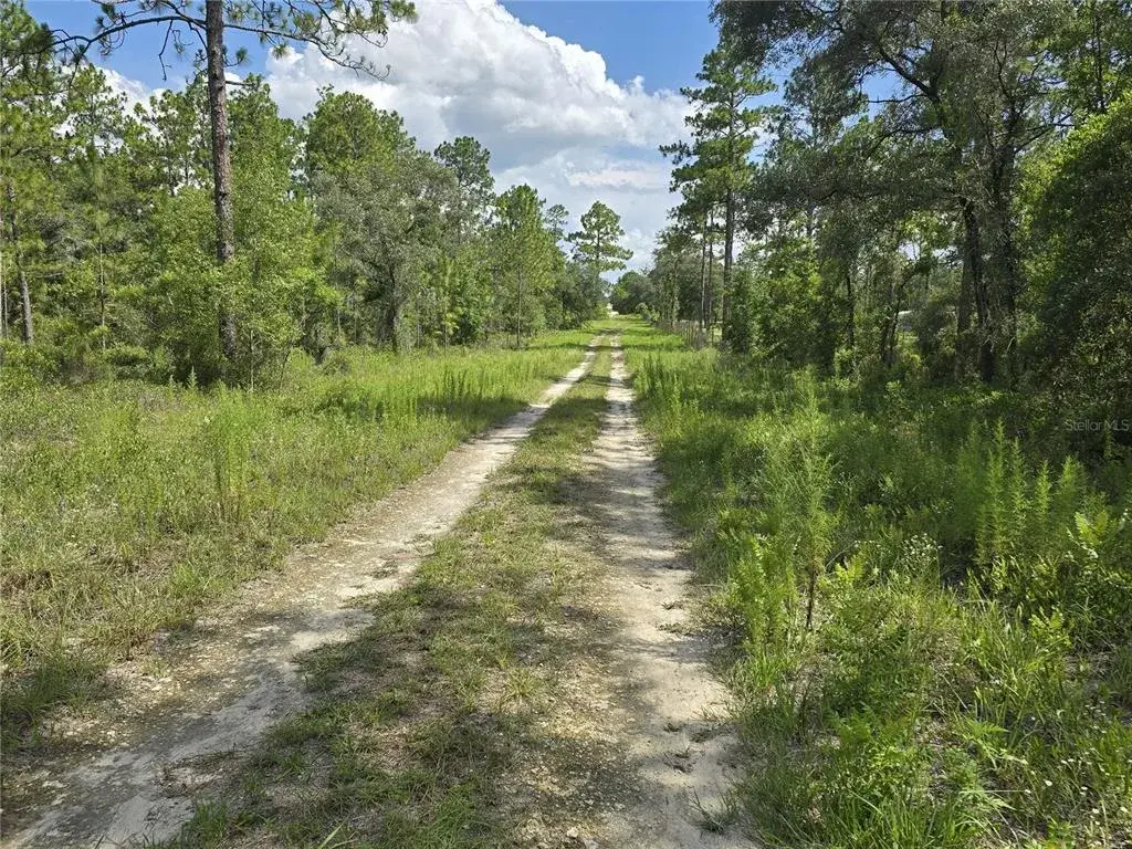 Property for sale at 00 NE 121ST AVENUE, WILLISTON, FL, 32696