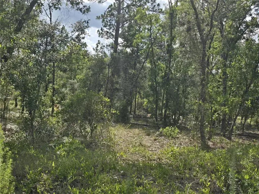 Property for sale at 00 NE 121ST AVENUE, WILLISTON, FL, 32696