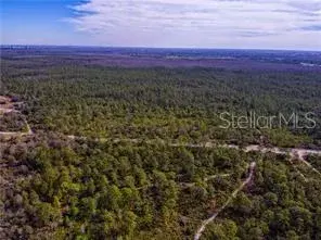 Property for sale at 0 INTERNATIONAL DRIVE, ORLANDO, FL, 32821