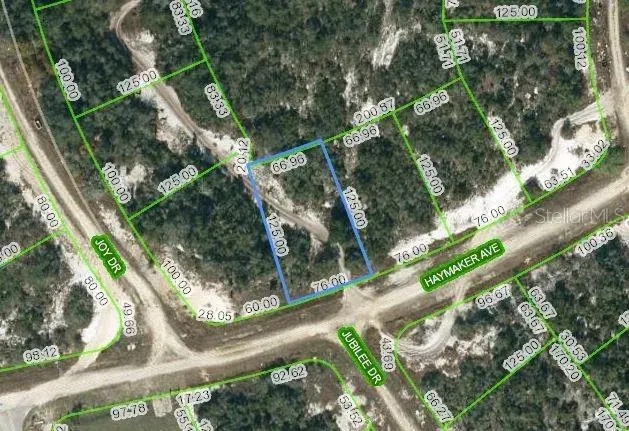 Property for sale at 488 HAYMAKER AVENUE, LAKE PLACID, FL, 33852