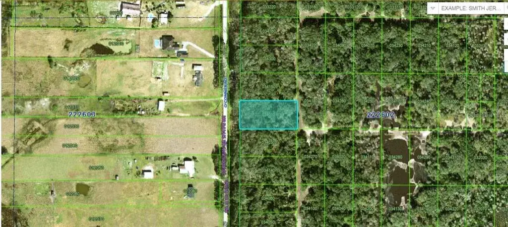 Property for sale at OCONNER ROAD, KATHLEEN, FL, 33849