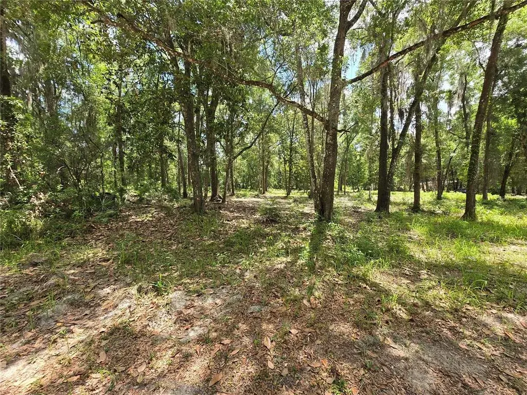 Property for sale at 0 SW 15TH PLACE, OCALA, FL, 34481