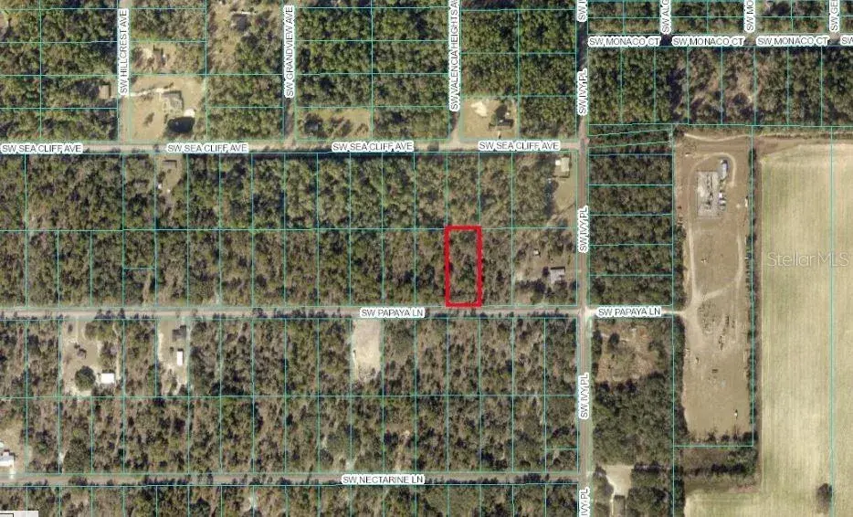 Property for sale at TBD SW PAPAYA LANE, DUNNELLON, FL, 34431
