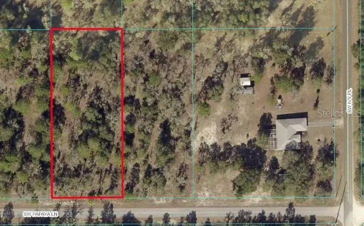 Property for sale at TBD SW PAPAYA LANE, DUNNELLON, FL, 34431
