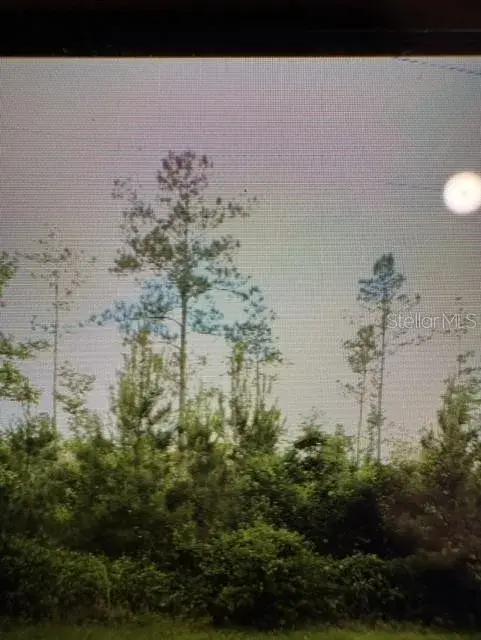 Property for sale at COUNTY ROAD 305, BUNNELL, FL, 32110