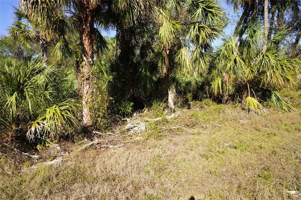 Property for sale at 16150 ARCARO AVENUE, PORT CHARLOTTE, FL, 33954