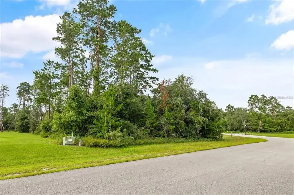 Property for sale at 13615 GOPHER POND CT, HUDSON, FL, 34669