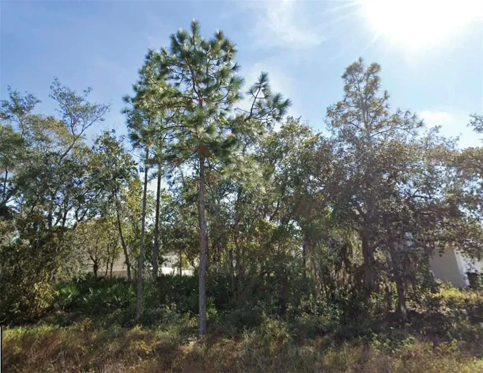 Property for sale at 1626 PILCHARD COURT, POINCIANA, FL, 34759