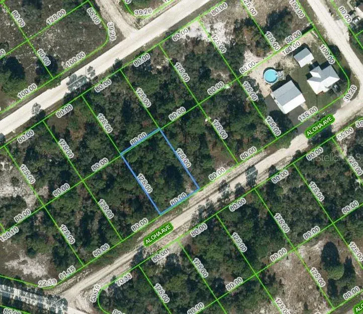 Property for sale at 450 ALOHA AVENUE, LAKE PLACID, FL, 33852