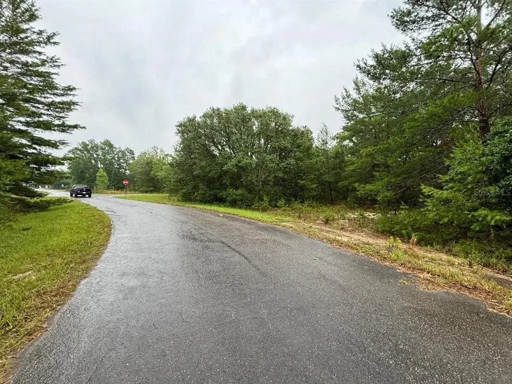 Property for sale at 16 FISHER COURT WAY, OCKLAWAHA, FL, 32179