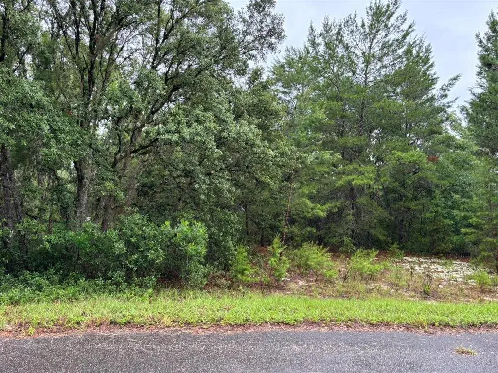 Property for sale at 16 FISHER COURT WAY, OCKLAWAHA, FL, 32179