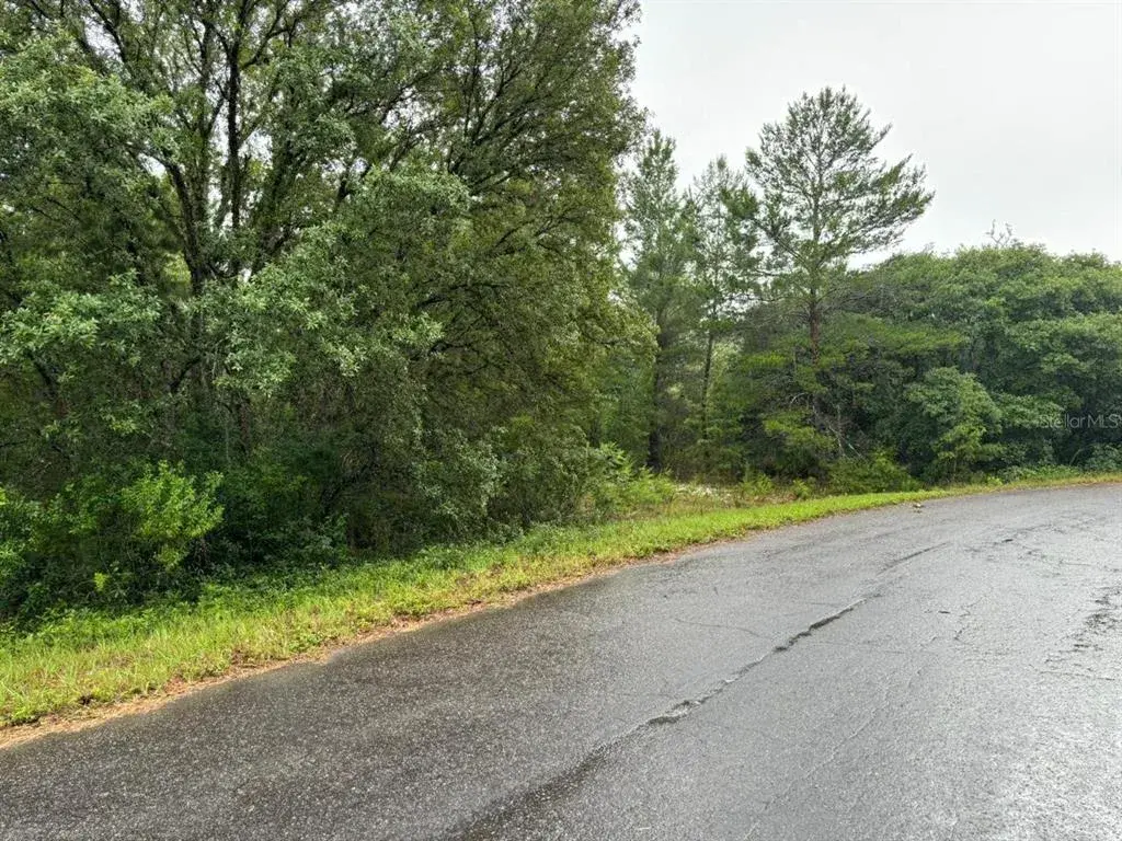 Property for sale at 16 FISHER COURT WAY, OCKLAWAHA, FL, 32179