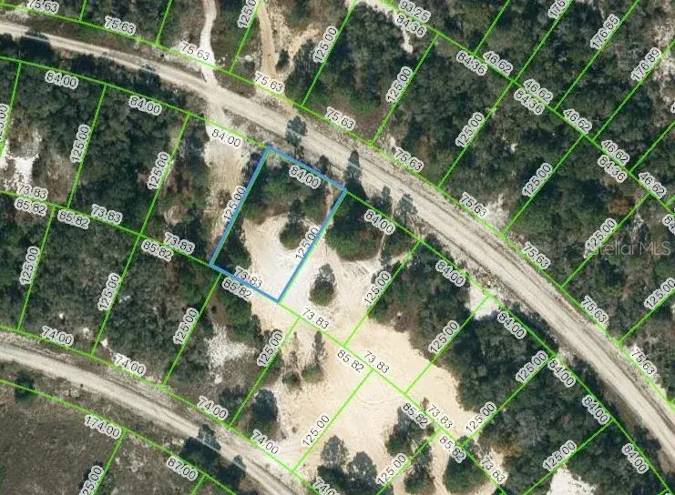 Property for sale at 463 MORNINGSIDE DRIVE, LAKE PLACID, FL, 33852