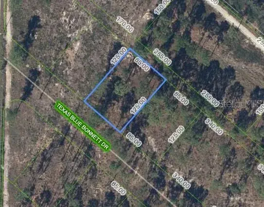 Property for sale at 6139 TEXAS BLUE BONNETT DRIVE, SEBRING, FL, 33876