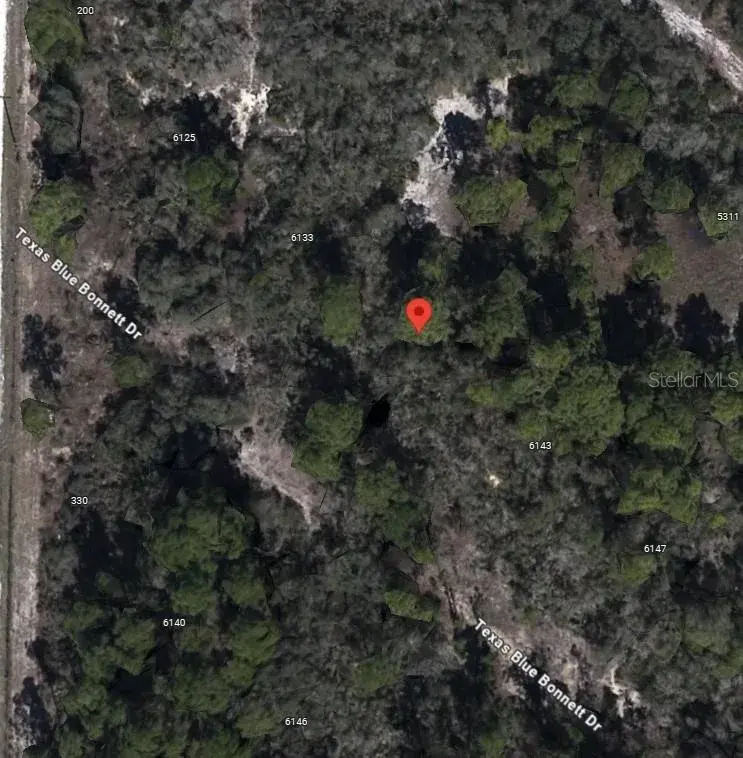 Property for sale at 6139 TEXAS BLUE BONNETT DRIVE, SEBRING, FL, 33876