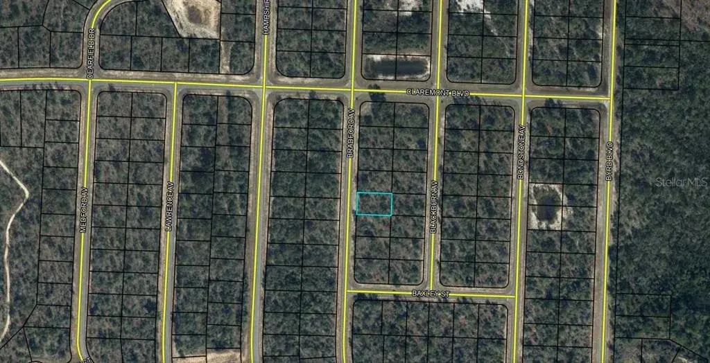Property for sale at Lot 12 Unit 16 Blk 796 BRADFORD AVENUE, CHIPLEY, FL, 32428