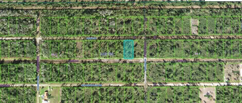 Property for sale at 203 IXORA DRIVE, INDIAN LAKE ESTATES, FL, 33855