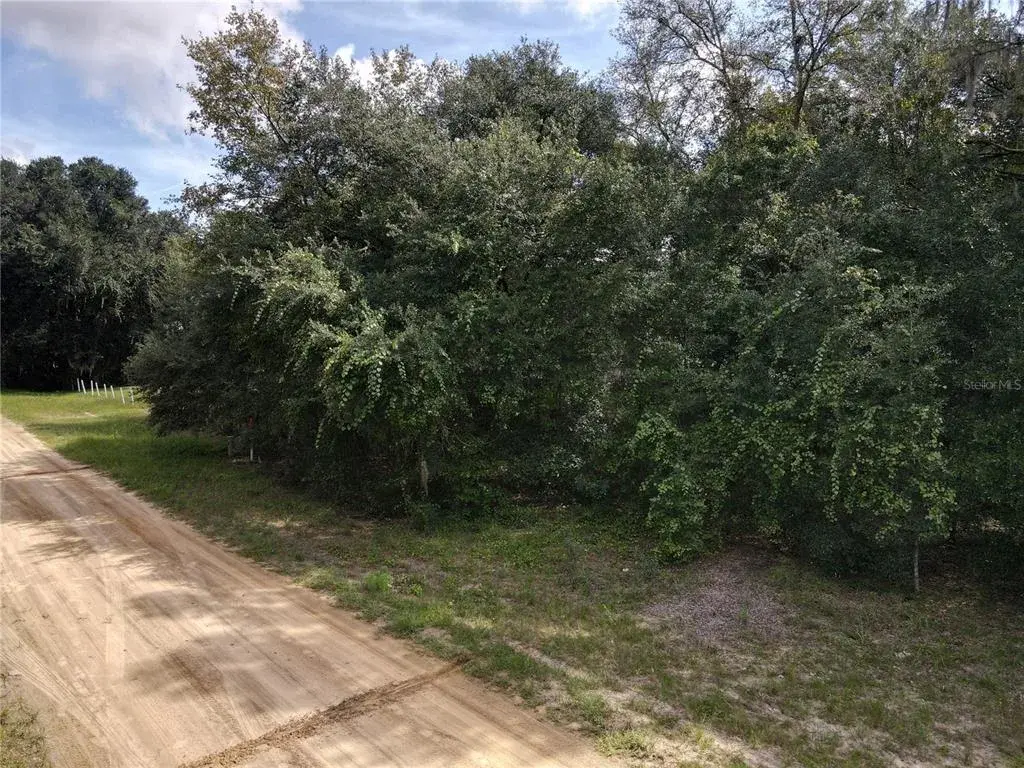 Property for sale at GUNNER AVE, INTERLACHEN, FL, 32148