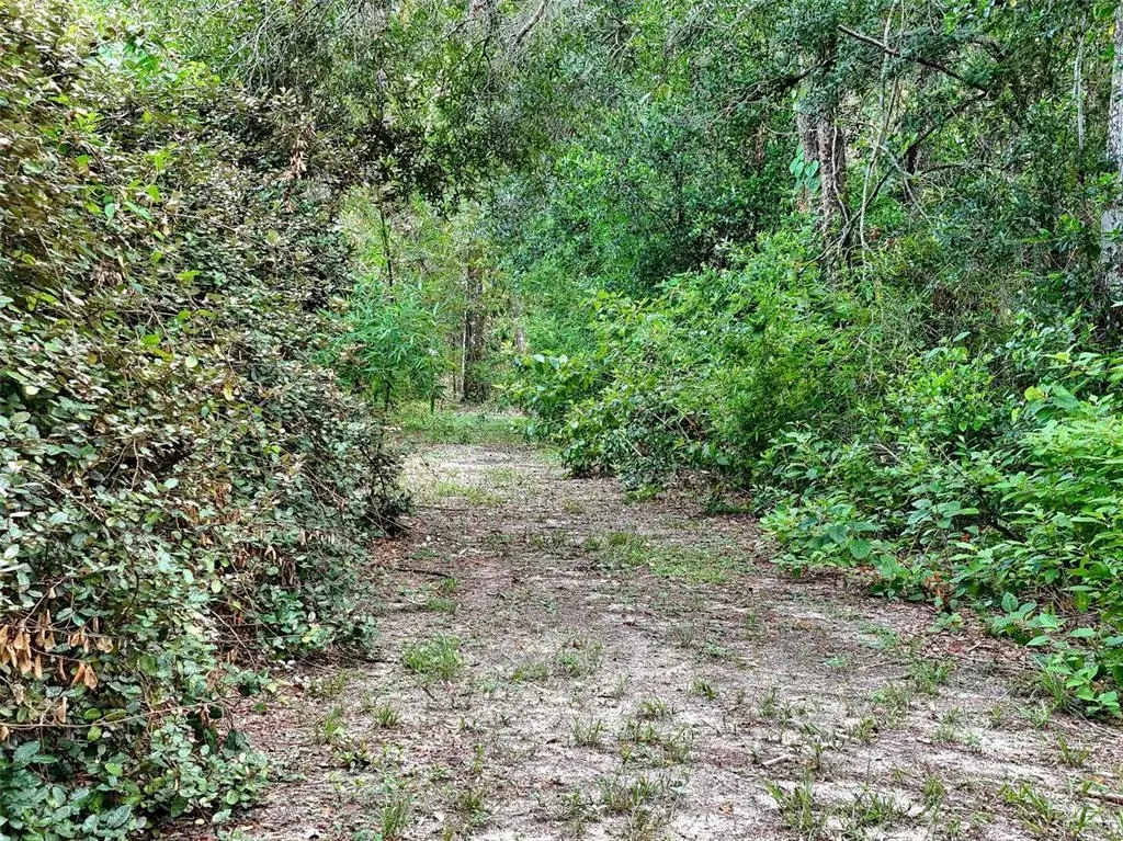 Property for sale at 0 FORT DADE AVENUE, BROOKSVILLE, FL, 34601