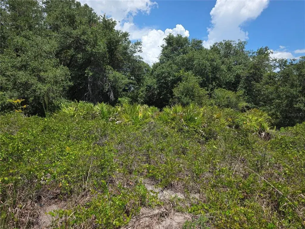 Property for sale at 1297 SULSTONE DRIVE, PUNTA GORDA, FL, 33983
