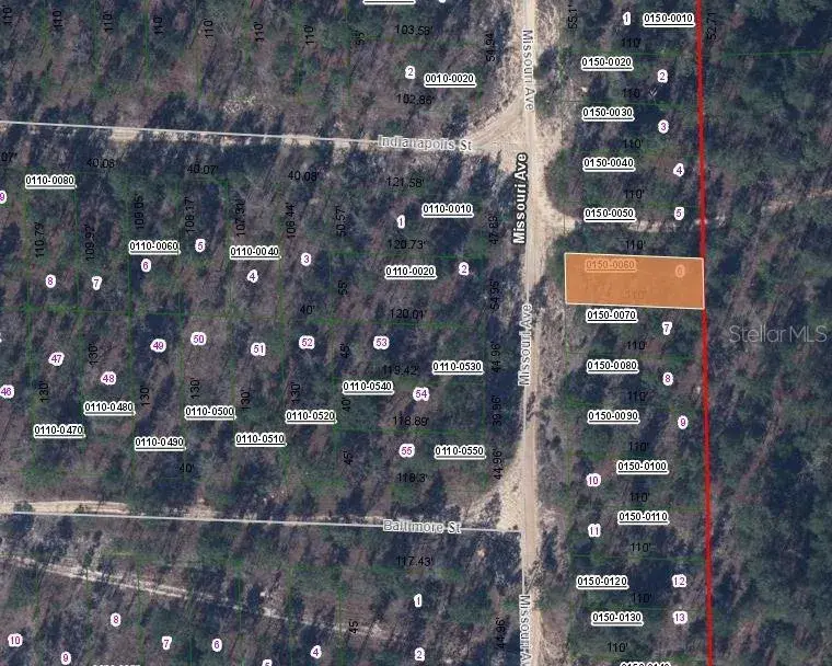 Property for sale at 156 MISSOURI AVENUE, HAWTHORNE, FL, 32640