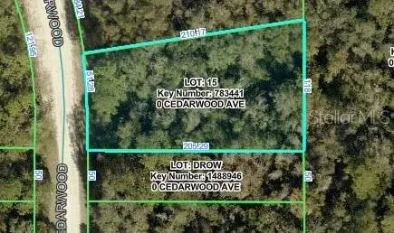 Property for sale at CEDARWOOD AVENUE, WEEKI WACHEE, FL, 34614