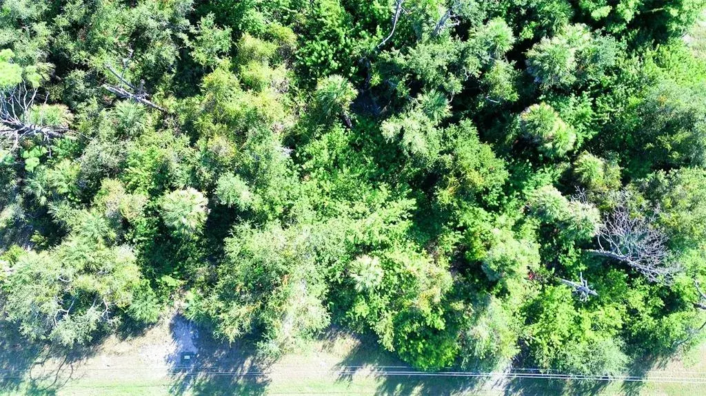 Property for sale at 199 COUGAR WAY, ROTONDA WEST, FL, 33947