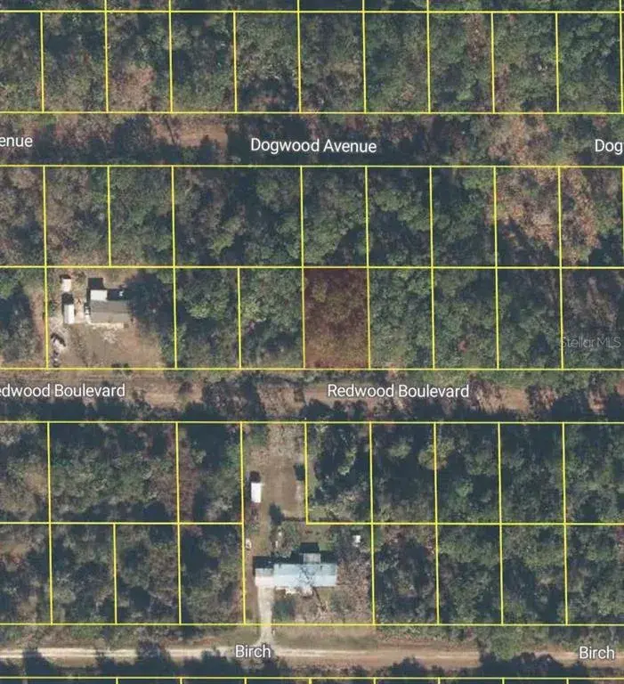 Property for sale at 318 REDWOOD BOULEVARD, GEORGETOWN, FL, 32139