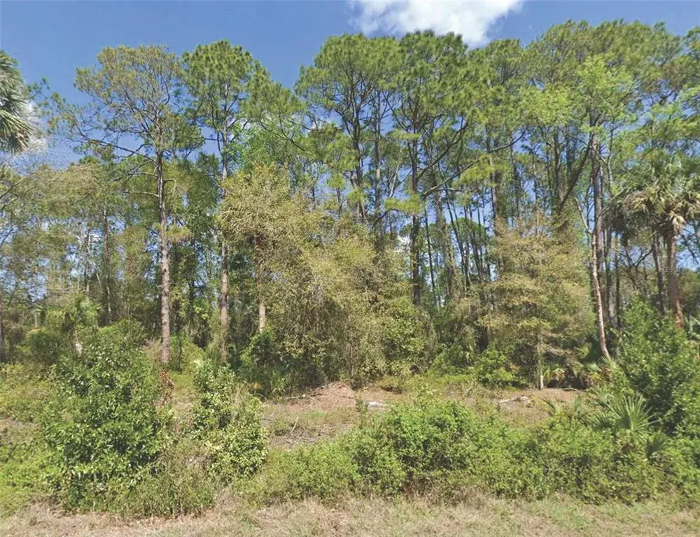 Property for sale at 318 REDWOOD BOULEVARD, GEORGETOWN, FL, 32139
