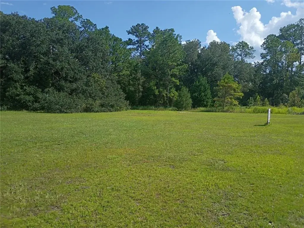Property for sale at TBD NE US HIGHWAY 301, WALDO, FL, 32694
