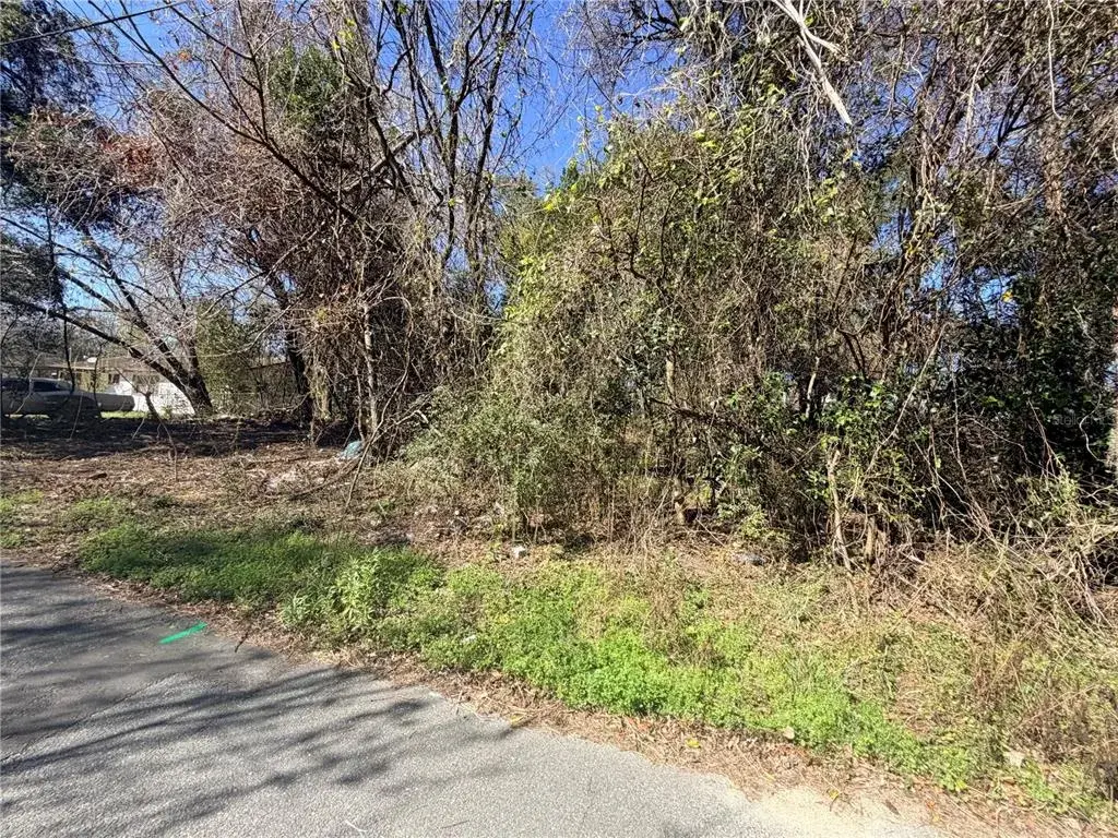 View from NW 151st Ave