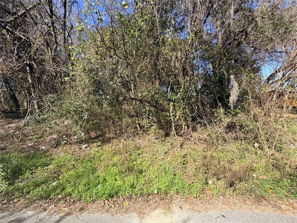 View from NW 151st Ave
