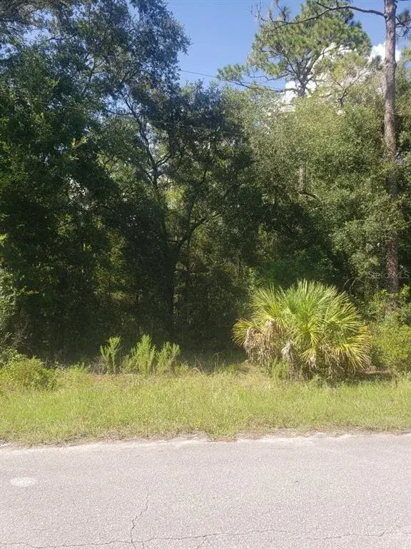Property for sale at 2949 W GRAPEVINE COURT, DUNNELLON, FL, 34433