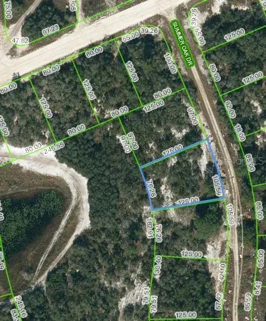 Property for sale at 130 SUMMER OAK COURT, LAKE PLACID, FL, 33852