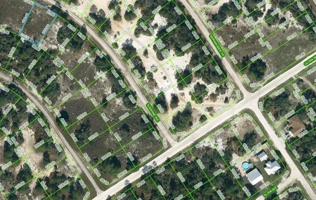 Property for sale at 417 SUNSHINE AVENUE, LAKE PLACID, FL, 33852