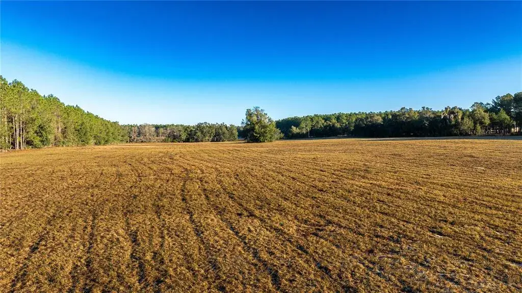 Property for sale at 00 NW 180TH ST, WILLISTON, FL, 32696