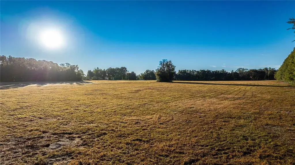 Property for sale at 00 NW 180TH ST, WILLISTON, FL, 32696