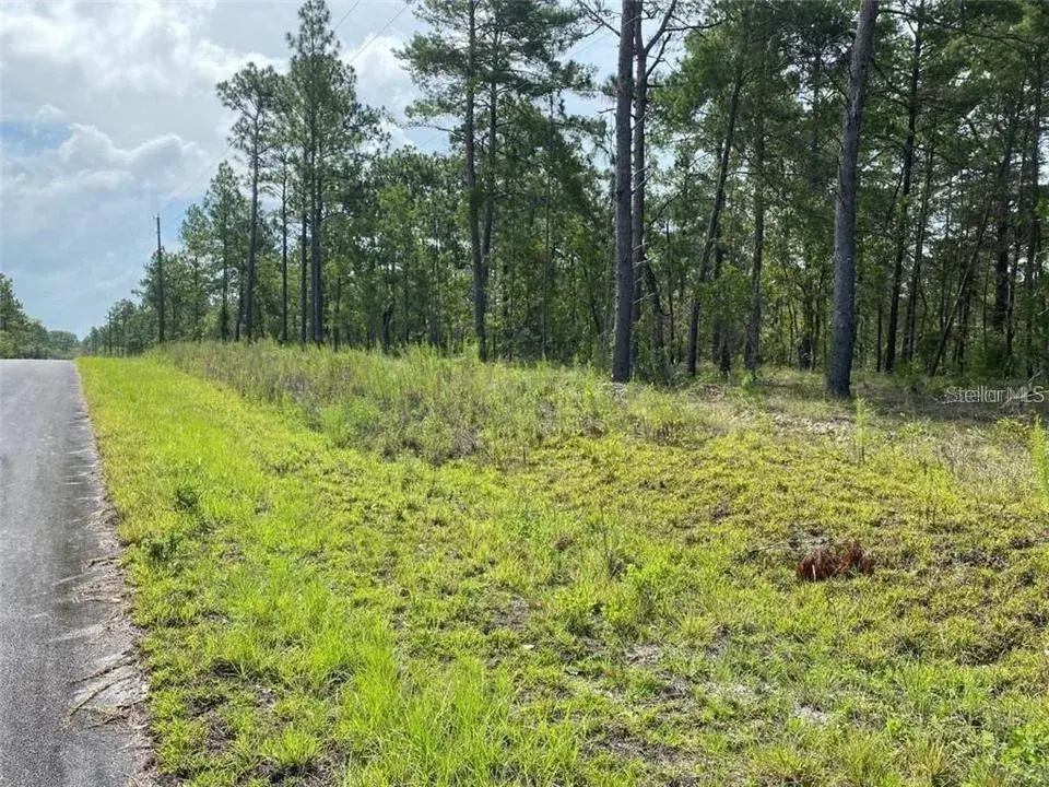 Property for sale at 00 NW GERANIUM AVENUE, DUNNELLON, FL, 34431