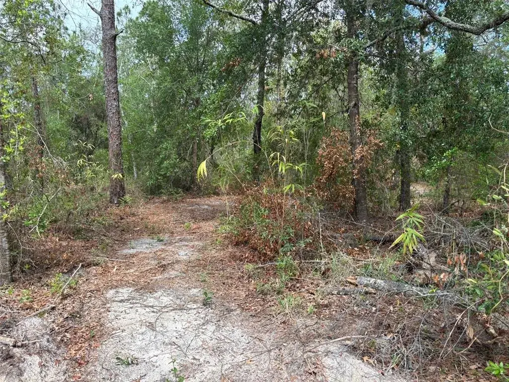 Property for sale at 18379 THOMAS BOULEVARD, HUDSON, FL, 34667