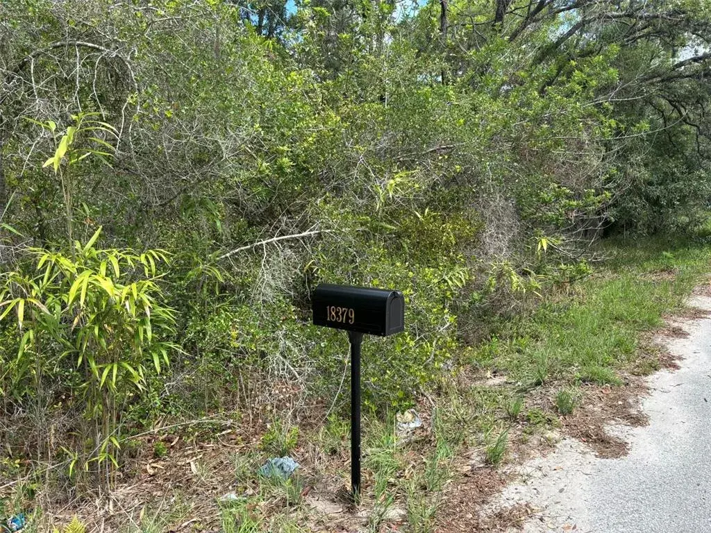 Property for sale at 18379 THOMAS BOULEVARD, HUDSON, FL, 34667