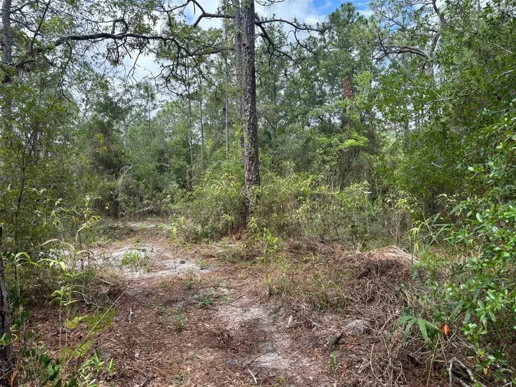 Property for sale at 18379 THOMAS BOULEVARD, HUDSON, FL, 34667
