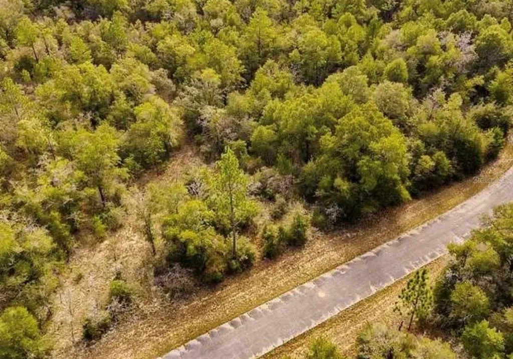 Property for sale at LOT# 42 DANDELION DRIVE, CHIPLEY, FL, 32428