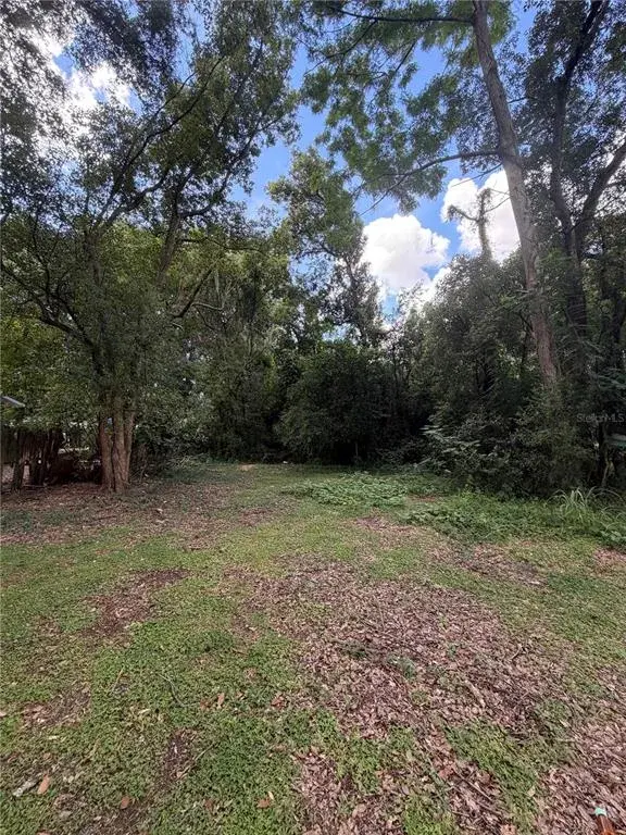 Property for sale at N RHODES STREET, MOUNT DORA, FL, 32757