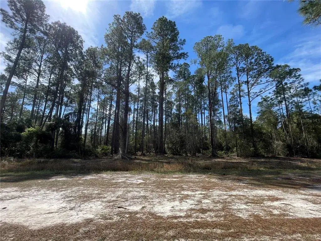 Property for sale at 105 ROSEWOOD STREET, GEORGETOWN, FL, 32139