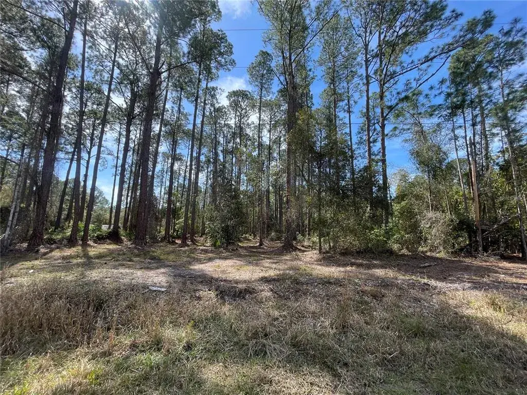 Property for sale at 105 ROSEWOOD STREET, GEORGETOWN, FL, 32139