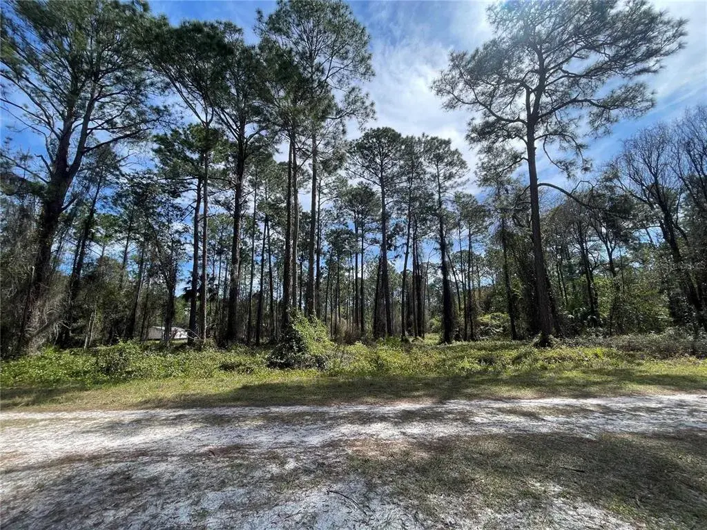 Property for sale at 105 ROSEWOOD STREET, GEORGETOWN, FL, 32139
