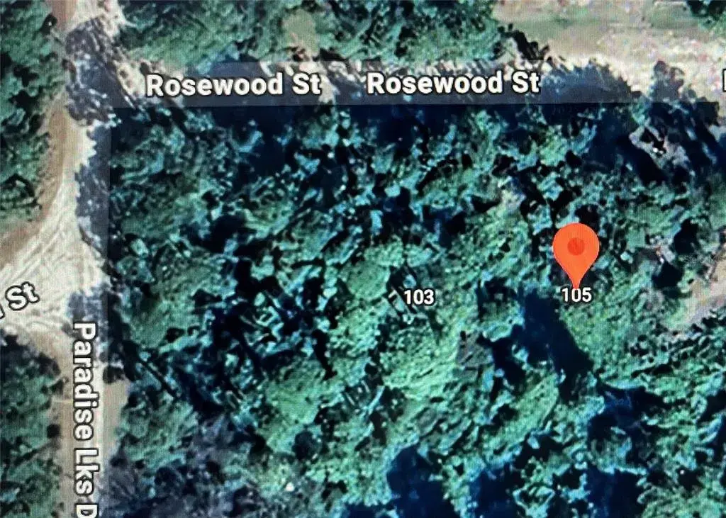 Property for sale at 105 ROSEWOOD STREET, GEORGETOWN, FL, 32139