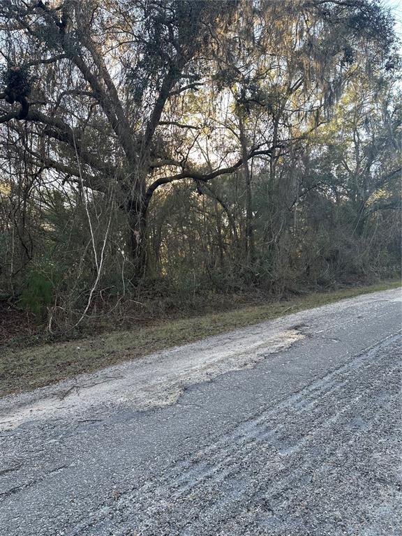 Property for sale at 8276 N ELIDA AVENUE, DUNNELLON, FL, 34434
